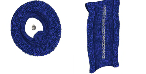 Cardiac Flow Simulation